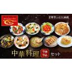 惣菜 レトルト 冷凍 チャイナノーヴァ 中華料理9種9品セッ…