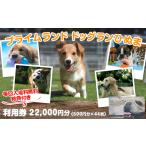 体験チケット 358 プライムランド ドッグランひぬま