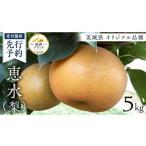 ふるさと納税 梨 茨城県 筑西市  JA 北つくば 筑西ブランド 認証品 恵水 5kg 2026年産 先行予約 梨 果物 フルーツ なし ナシ 赤梨 贈り物 贈答 贈答用 AE024ci…
