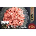 ふるさと納税 牛肉 炒め物 岐阜県 高山市  3月発送 A5飛騨牛霜降 切り落とし 600g　日付指定不可 ブランド牛 雌牛 5等級 A5ランク 切落し 薄切り 熨斗 のし 天…