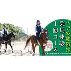 体験チケット 乗馬体験 ペア2名 1回コース