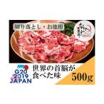 牛肉 セット 冷凍 別送 即時交換 阪南市　ふるさと納税 牛肉 セット 大阪府 阪南市 大阪産 和牛 なにわ黒牛 切り落とし ・ お徳用 500g (250g × 2パック)
