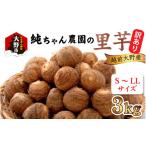 人参 大根 他根菜 訳あり 越前大野産 純ちゃん農園の里芋3kg