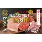 牛肉 焼肉 バーベキュー 包装のし対応 26-530G.幻のメス牛