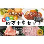 牛肉 サーロイン 26-021.幻のメス牛 まるごと四万十牛セット