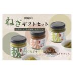 野菜類 京都山城 ねぎ セット ねぎベーゼ ねぎ味噌