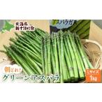 fu.... налог овощи вид спаржа Hokkaido новый 10 Цу река блок предшествующий прием зеленый aspalaL размер 1kg. мир 8 год 5 месяц средний .~6 месяц средний . отправка l online ....... налог...