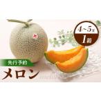 ふるさと納税 メロン メロン赤肉 北海道 新十津川町 先行予約 赤肉メロン1箱(4〜5玉) 令和7年7月〜8月上旬発送 | 先行予約 メロン 北海道 赤玉 セット オ…