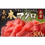惣菜 レトルト 冷凍 天然本まぐろ 赤身 切落し