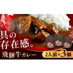 加工品等 レトルト -あふひ 贅の極み- 飛騨牛カレー 2人前×…