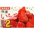 ふるさと納税 いちご 静岡県 牧之原市 067-8 完熟 冷凍 いちご 2kg 一級品 小分け スムージ アレンジ ビタミンC イチゴ 苺 保存 スイーツ フルーツ ストロベリ…