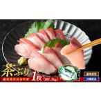 ふるさと納税 旬の鮮魚等 鹿児島県 長島町 茶ぶり フィレ (1枚) ウスイ usui-1130R7