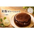 ケーキ カステラ チョコレートケーキ 米粉