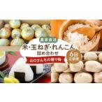 野菜類 玉ねぎ 常温 定期便 別送 即時交換 白石町　ふるさと納税 野菜類 玉ねぎ 佐賀県 白石町  令和8年6月以降発送 6回定期便 農家直送 特産物 詰合せ 〜山口さんちの贈り物〜 y'scompany 佐賀県産玉葱 米…