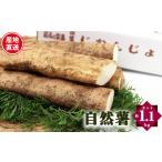 野菜類 自然薯 カット状態 約1.1kg