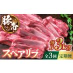豚肉 3回定期便 豚帝 スペアリブ 2頭分 約3kg
