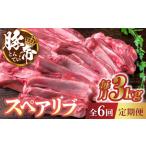 豚肉 6回定期便 豚帝 スペアリブ 2頭分 約3kg