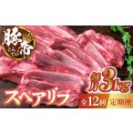 豚肉 12回定期便 豚帝 スペアリブ 2頭分 約3kg