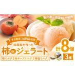 アイス ヨーグルト NN-06 安心安全な無添加柿ジェラート3種…