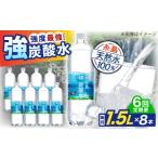 炭酸飲料 ソーダ水 全6回定期便 強炭酸水 1.5L×8本