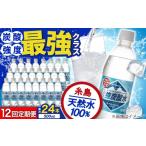 炭酸飲料 ソーダ水 全12回定期便 強炭酸水