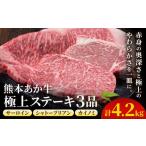 牛肉 サーロイン 熊本あか牛 極上ステーキ 3品