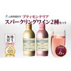 ふるさと納税 ワイン スパークリングワイン 山梨県 笛吹市 プティモンテリア スパークリング 2種 飲み比べ 290ml 6本入 モンデ酒造 177-4-036
