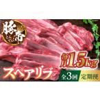 豚肉 3回定期便 豚帝 スペアリブ 約1.5kg