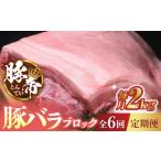 豚肉 6回定期便 豚帝 豚バラ ブロック 約2kg