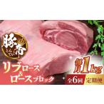 豚肉 6回定期便 豚帝 リブ ロース &amp;