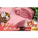 豚肉 6回定期便 豚帝 リブ ロース &amp;
