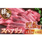 豚肉 12回定期便 豚帝 スペアリブ 約1.5kg
