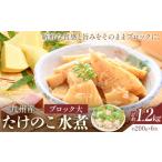 野菜類 たけのこ 水煮 詰め合わせ ブロック大
