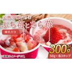完熟 冷凍 いちご ぷち苺 と さら苺 各3カップ
