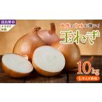 ふるさと納税 野菜類 玉ねぎ 北海道 富良野市 北海道富良野産 玉ねぎ Lサイズ前後 10kg 1441749