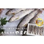 川魚 奥阿蘇湧水やまめ 10匹セット 個別包装