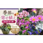 花 苗木 おまかせ 季節の寄せ植え プランター