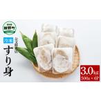 魚貝類 ~四国一小さなまち~ 公文鮮魚店の特製すり身 3kg