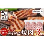 ふるさと納税 肉 佐賀県 鹿島市  3月発送 ビーフ&チキンやわらか焼肉(成型肉) 1kg×3袋 合計3kg 柔らかさと溢れる旨さが自慢のお肉 B-613 3月発送