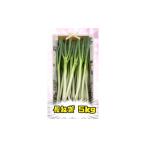 fu.... налог овощи вид лук порей Akita префектура Yuzawa город .. включено ...... Akita префектура производство [ длина лук порей ] 5kg L размер . лук порей овощи ( АО )KAMURO B1-13301