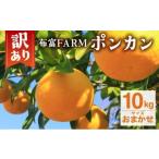 ふるさと納税 みかん・柑橘類 高知県 東洋町  先行予約 訳ありポンカン　サイズおまかせ 10kg　NT1 N-06 サイズおまかせ 10kg