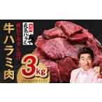 ふるさと納税 牛肉 焼肉・バーベキュー 大阪府 泉佐野市 TVで紹介 牛ハラミ肉 3kg(300g×10)秘伝の赤タレ漬け 訳あり サイズ不揃い 牛肉 焼肉用 焼くだけ …