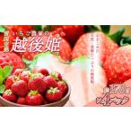 ふるさと納税 いちご 新潟県 上越市 いちご 雪国完熟越後姫 約170g×4P 苺 イチゴ フルーツ 完熟 越後 新潟