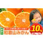 ふるさと納税 果物類 みかん 和歌山県 紀の川市 みかん 人気ランキング ランクイン みかん王国和歌山よりお届け 訳ありみかん サイズ不選別 選べる内容量 約10…