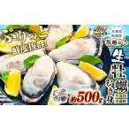 ふるさと納税 牡蠣 生牡蠣 兵庫県 赤穂市 坂越かき むき身 約500g×1パック 2026年1月上旬〜2026年3月下旬頃発送予定 ／ 牡蠣 かき カキ オイスター サムライ…