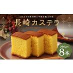 菓子 カステラ 長崎カステラ糖庵 0.5号 8本