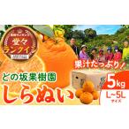 ショッピングふるさと納税 先行予約 ふるさと納税 みかん・柑橘類 デコポン 和歌山県 日高川町 デコポン 冬の味覚を和歌山よりお届け 先行予約 不知火 ( デコポン と同品種 ) しらぬい 約 5kg (L…