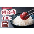 加工品等 梅干 南高梅400g