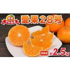 果物類 みかん 愛果28号 紅まどんな と同品種 2.5kg