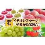 ふるさと納税 果物類 さくらんぼ 山形県 山形市 定期便4回 イチオシフルーツ やまがた宝箱A FY25-823
